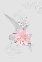 wallunica Ilustrations - Wall Art | Bird and formulas science design - 1