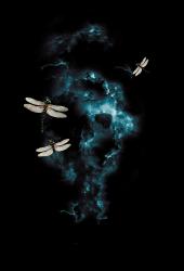 wallunica Ilustrations - Wall Art | Dragonflies and clouds design - 1