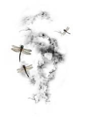 Изображение продукта wallunica Ilustrations - Wall Art | Dragonflies and clouds design