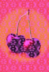 wallunica Ilustrations - Wall Art | Lace layer over cherry image - 1
