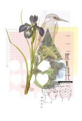 Изображение продукта wallunica Ilustrations - Wall Art | Layered nature design with iris