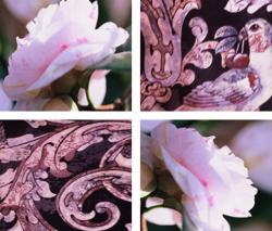 Изображение продукта tela-design Camellia Palomica