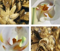 tela-design Gold Framing Orchids - 1