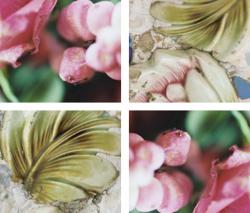 Изображение продукта tela-design tela 100 - leafy pearls