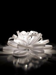 Изображение продукта ITALAMP Fan Temo настольный светильник