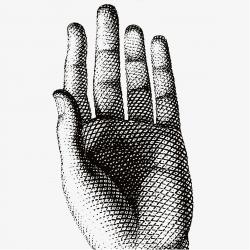 Изображение продукта Ceramica Bardelli Fornasettiana