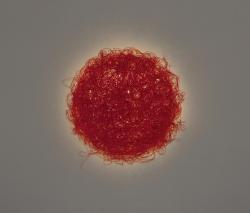 Изображение продукта arturo alvarez Icarus IC06P