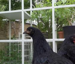 Изображение продукта GRID GRID garden