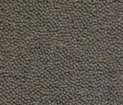 Carpet Concept Lux 3000-40024 - 1