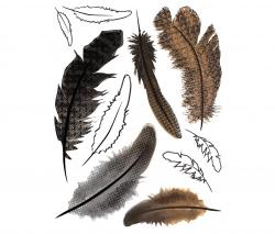 Изображение продукта Hornschuch Spirit | Living Samia