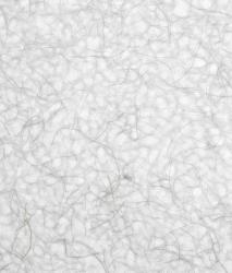 Изображение продукта Wood & Washi Laminated Washi Extra Strong