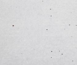 Изображение продукта Wood & Washi Laminated Washi