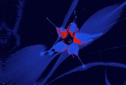 Изображение продукта wallunica Abstract Backgrounds | Blue abstract background design