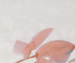 Изображение продукта Fap Ceramiche Sole Petali Bianco