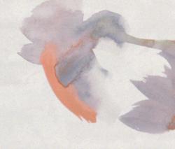 Изображение продукта Fap Ceramiche Sole Petali Bianco