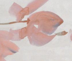 Изображение продукта Fap Ceramiche Sole Petali Bianco