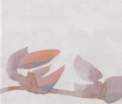 Изображение продукта Fap Ceramiche Sole Petali Bianco