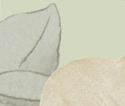 Изображение продукта Fap Ceramiche Rubacuori Listello