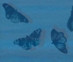 Изображение продукта Fap Ceramiche Cielo Farfalle Indaco Inserto Mix 2