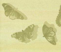 Изображение продукта Fap Ceramiche Cielo Farfalle Prato Inserto Mix 2