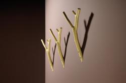 Изображение продукта rosconi Ast