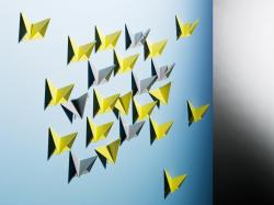 Изображение продукта rosconi Flock