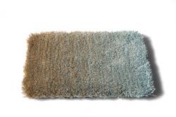 Изображение продукта Carpet Sign Cameleon 330030