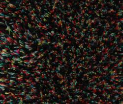 Изображение продукта Carpet Sign Sauvage 38093