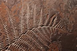 Изображение продукта Embossing technique