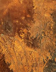 Изображение продукта Embossing technique