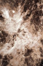 Schönstaub Nebula MOB3915 | Rug - 1