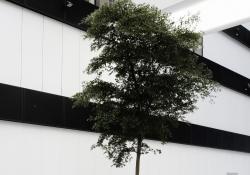 Soft Cells Soft Cells Broadline | Wall installation - 3