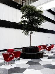 Soft Cells Soft Cells Broadline | Wall installation - 4