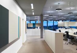 Изображение продукта acousticpearls vivid open space combinations