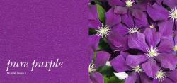 Изображение продукта acousticpearls pure purple | 666