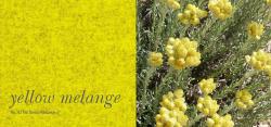 acousticpearls yellow melange | 421M - 1