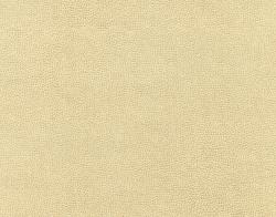 Изображение продукта Anzea Textiles Buckaroo 8103 01 Iced Milk