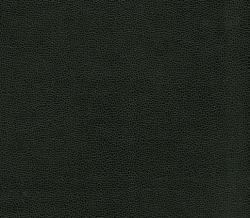 Изображение продукта Anzea Textiles Buckaroo 8103 04 Going Green