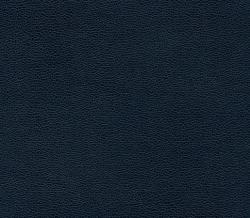 Изображение продукта Anzea Textiles Buckaroo 8103 05 Blue Book