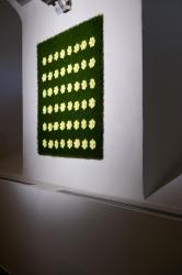 lebenszubehoer by stef’s Meadow flower patch "linear" - 2