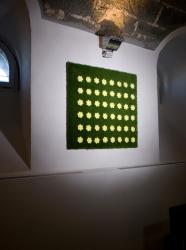 Изображение продукта lebenszubehoer by stef’s Meadow flower patch "linear"