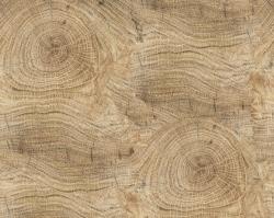 Изображение продукта OUT Life Lines