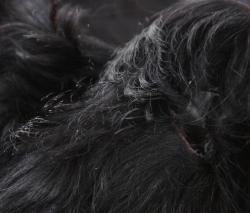 Изображение продукта KURTH Manufaktur Cowhide