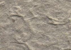 Изображение продукта Kamism KP 5343