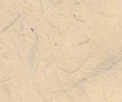 Изображение продукта Kamism KP 5488