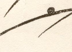 Изображение продукта Kamism KP 5536