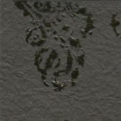 Изображение продукта Kamism KP 5914