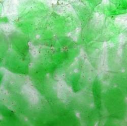 Изображение продукта LEAF_3_W glass wall tile