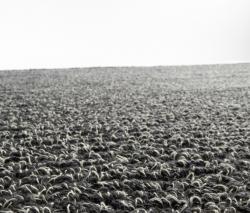 Изображение продукта HANNA KORVELA Majore