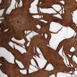 Изображение продукта Weitzner Nimbus brown